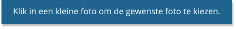 Klik in een kleine foto om de gewenste foto te kiezen.