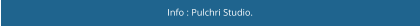 Info : Pulchri Studio.