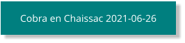 Cobra en Chaissac 2021-06-26