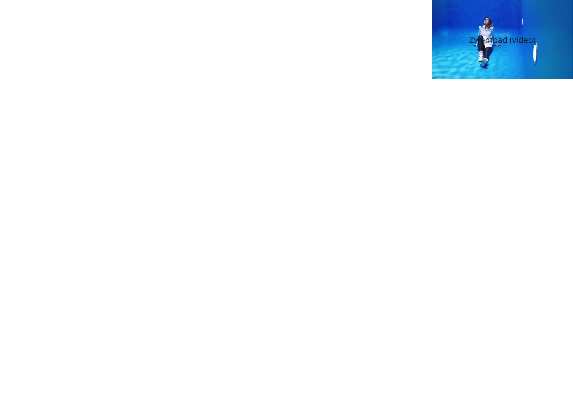 Zwembad (video)