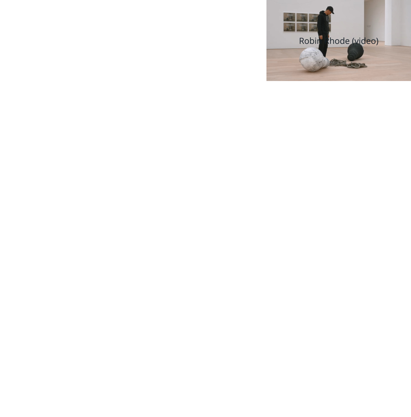 Robin Rhode (video)
