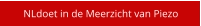 NLdoet in de Meerzicht van Piezo